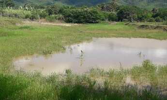 Imagem 5: Vendo Fazenda Com 60 Tarefa em Crato