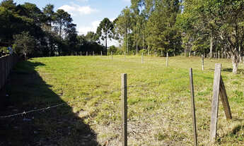 Imagem 3: Excelente Terreno em Palmeira Pr. Ótimo Investimento!