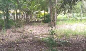 Imagem 4: Sítio para Venda em Santa Luzia, BONANZA, 2 dormitórios, 1 banheiro