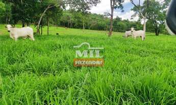 Imagem 2: Fazenda em Crixás-GO. > 54 Alq. (261 Há). Pecuária