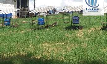 Imagem 6: Fazenda à venda, 6500000 m² por R$ 35.000.000,00 - Zona Rural - Minduri/MG