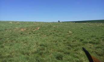 Imagem 5: Campo nativo de 76,5 ha em Capão do Cipó