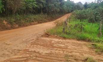 Imagem 6: Essa é pra você que sonha em ter uma chácara