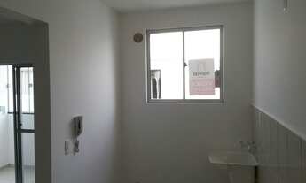 Imagem: Apartamento Padrão Ilha da Figueira