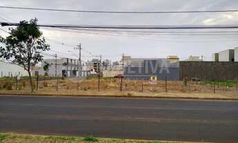 Imagem 3: Venda Terreno Vida Nova