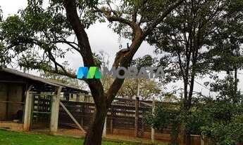 Imagem 4: PARAOPEBA - Fazenda - Zona Rural