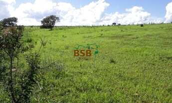 Imagem 4: Sítio de 68ha - BR190, próximo ao DF