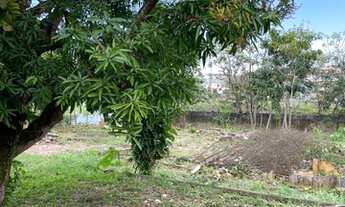 Imagem 6: Ótimo e grande terreno no bairro da Glória (Antiga Juteira Lustoza