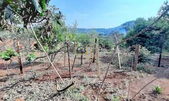 Imagem 3: Chácara 3.732 m2 - na região chácaras são miguel