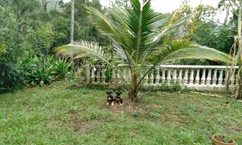 Imagem 2: Fazenda à venda, 1100000 m² por R$ 2.500.000,00 - Centro - Argirita/MG