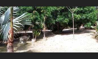 Imagem 2: Chácara com 3 dormitórios à venda, 300 m² por R$ 480.000,00 - Povoado do Picao - Aquiraz/C