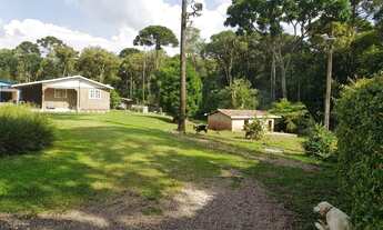 Imagem 3: Chácara para Venda em São José dos Pinhais, Campina do Taquaral