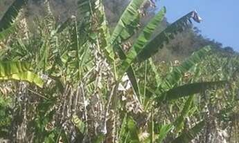 Imagem 3: Linda área para venda com 48.400 m² no Bairro Lambari - Gonçalves - MG