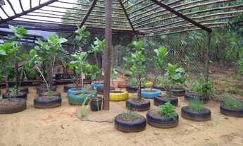 Imagem 3: Chácara com 2 dormitórios à venda, 2400 m² por R$ 320.000 - Inimutaba - Inimutaba/MG