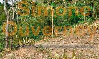 Imagem 2: Terreno de 1.092 metros quadrados no Centro! Com duas possibilidades de acesso
