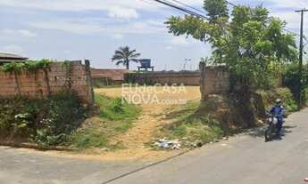 Imagem 3: Manaus - Terreno Padrão - Colônia Terra Nova