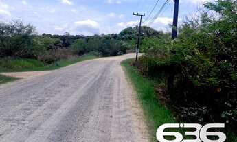 Imagem 4: Terreno | Balneário Barra do Sul