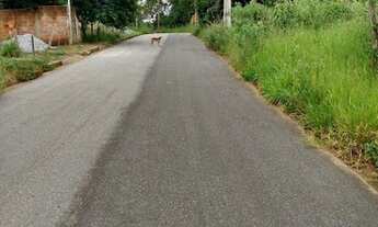 Imagem 4: Terreno à venda, 200 m² por R$ 120.000,00 - Castanheira - Santa Luzia/MG