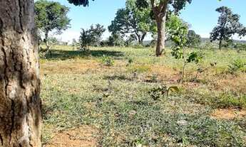 Imagem 6: Fazendinhas 20000 com estrutura e pertinho de você