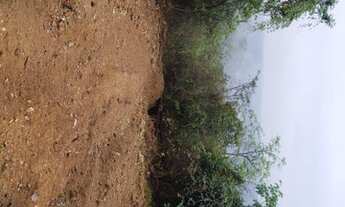 Imagem 3: Essa é pra você que sonha em ter uma chácara