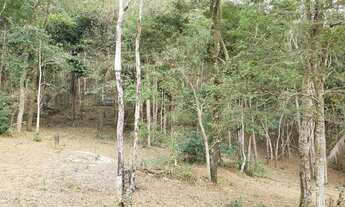 Imagem 7: Terreno Residencial à venda, Graminha, Juiz de Fora -