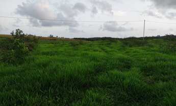 Imagem: Excelente Fazenda em salgado P / Pecuária