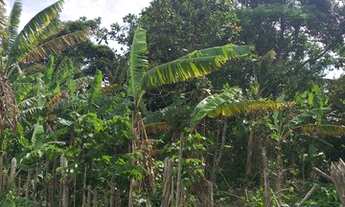 Imagem 7: SITIO NA CIDADE DE SÃO BENEDITO