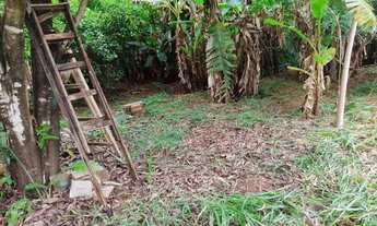 Imagem 5: Lote/Terreno para venda com 1000 metros quadrados em Loteamento Sumaré - Maringá - PR