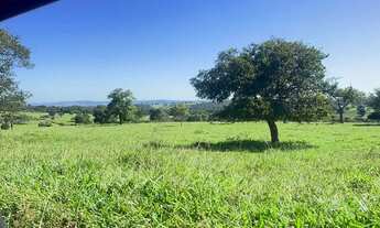 Imagem 6: Vende-se fazenda 40 alqueires em Trindade-Go