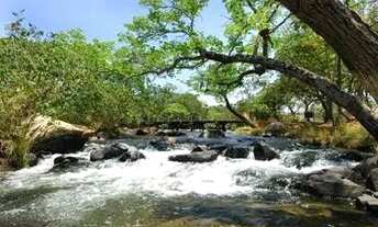 Imagem 7: Alugueis, Correntina Bahia