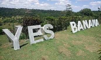 Imagem 7: Casa em Bananeiras