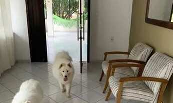 Imagem 5: Casa Duplex Gigante 7 suítes