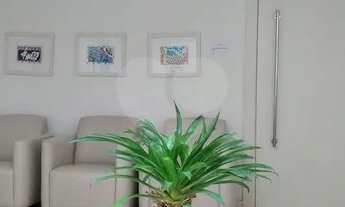 Imagem 6: Casa Comercial na Vila Nova Conceição