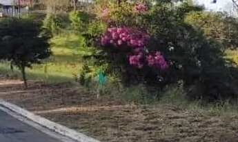 Imagem 6: Vendo lindos lotes em Pedro Leopoldo