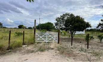 Imagem 6: Vendo sítio Chácara com venda por R$220.000