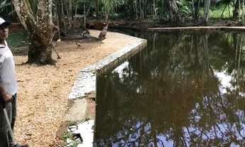 Imagem: Vende se loteamento