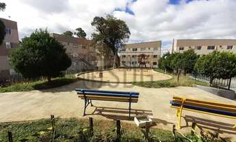 Imagem 6: Apartamentos - Locação - Pineville - Cod. 48