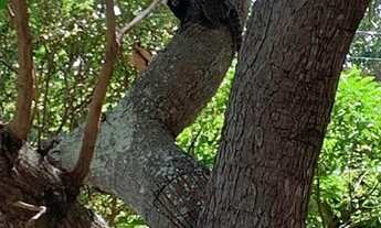 Imagem 5: Casas com piscina em Aracaju!!! LEIA