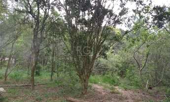 Imagem 4: Area para Venda - 0m², 0 dormitórios, Belém Velho