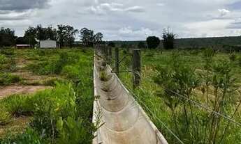 Imagem 4: Fazenda 840 Hecteares Rio na Divisa