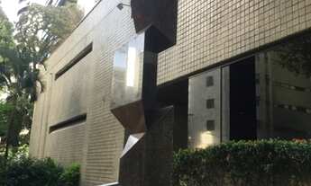 Imagem: Vendo Ótimo Apartamento com 3 quartos no