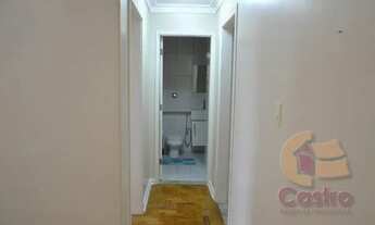 Imagem 5: SãO PAULO - Padrão - Campos Elíseos