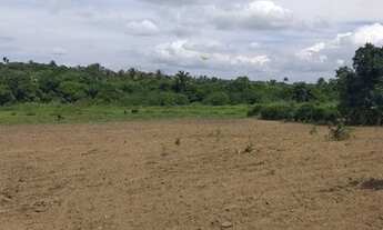 Imagem 6: SITIO NA CIDADE DE SÃO BENEDITO