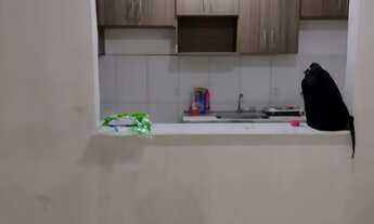 Imagem 6: Aluguel de Apartamento Maracanaú