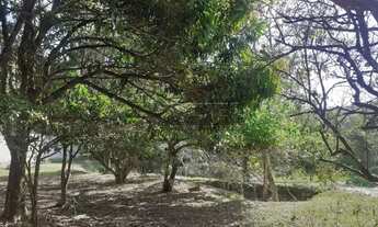 Imagem 3: Rural Fazenda, Sítio e Chácara em Sao Jose dos Campos