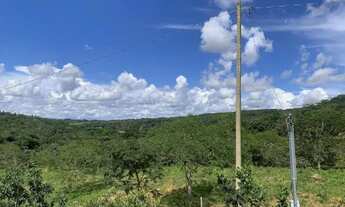 Imagem 5: Chácara 1000m², R$35mil, Energia, Arborizada, 600m Rod, 4km Aragoiânia