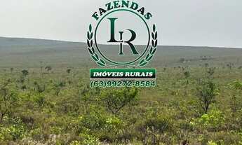 Imagem 4: Fazenda 317 alqueires Plana