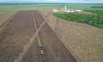 Imagem 3: Fazenda 1.192alqueires no TO. Aceita diamantes no pagamento 3 mil hect planta hoje