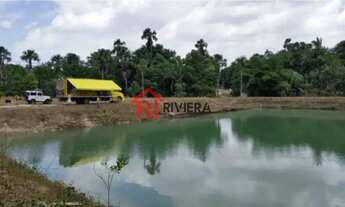 Imagem 5: TERRENO COMERCIAL em SÃO LUÍS - MA, ESTIVA