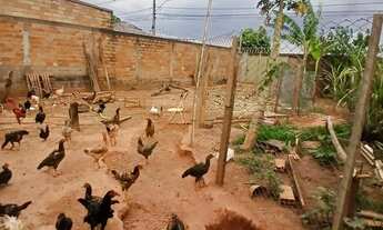 Imagem 4: Lote murado com consertina Lote à Venda, 250.00 por R$ 180000.00 no setor Residencial Prad